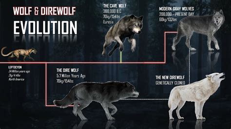 The Difference Between Dire Wolves And Wolf