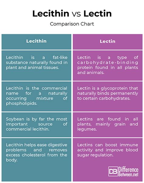 The Differences Between Lecithin And Cephalin