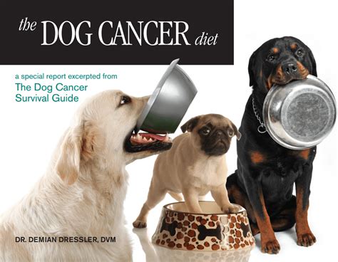 the dog cancer diet