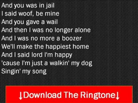 the dog song lyrics