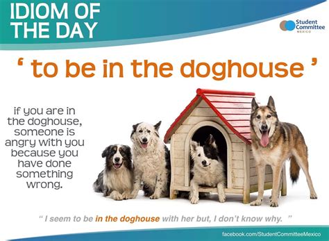 the dogs day idiom