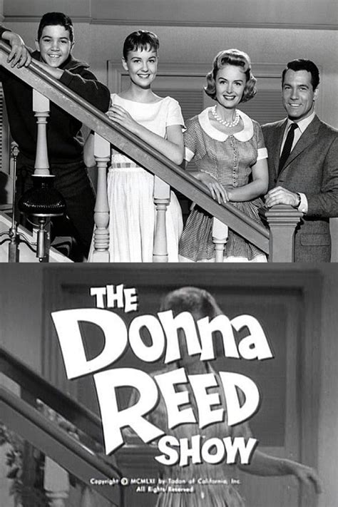 the donna reed show tv