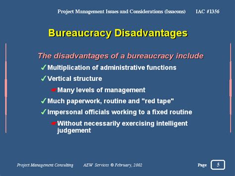 the drawbacks of bureaucracy