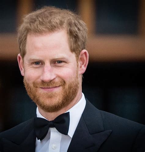 the duke of sussex prince harry