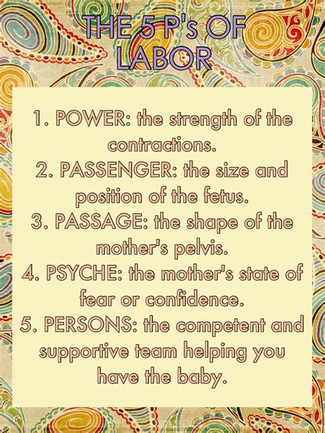 the five ps of labor are