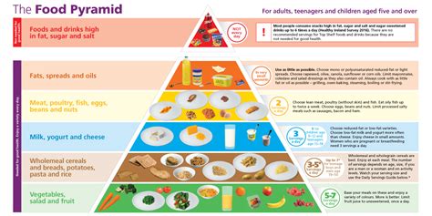 the food pyramid 2024