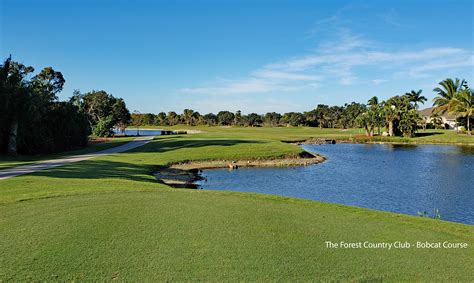 the forest golf and country club fort myers