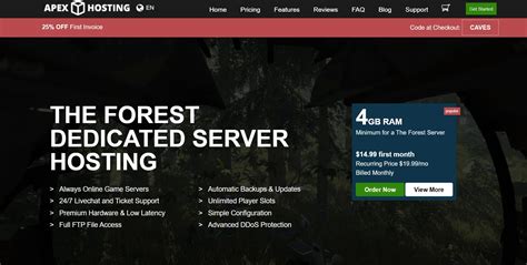 the forest server hosting