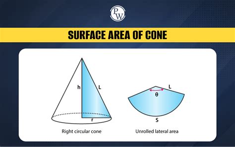 the formulas for finding the surface area of a cone and a pyramid are the same. true false