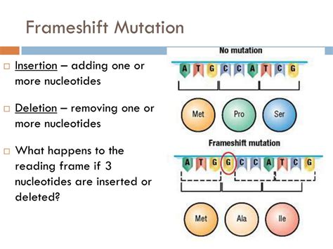 The Frameshift Mutation Definition