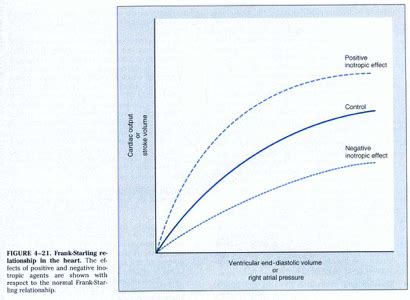 The Function Of A Pump Is To Quizlet