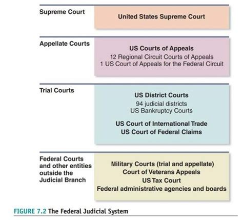 the function of trial courts is to quizlet