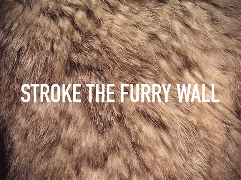 The Furry Wall