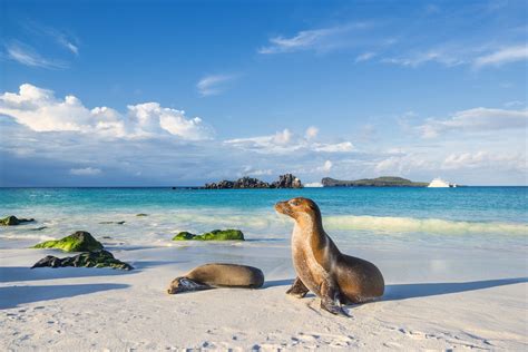 the galapagos islands ecuador