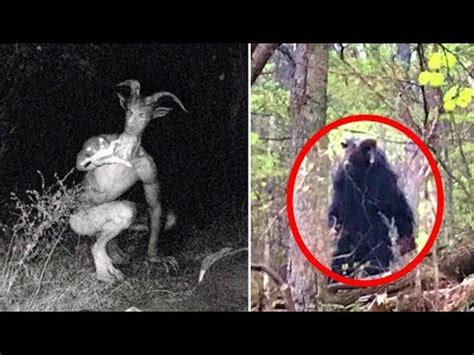 the goatman is real