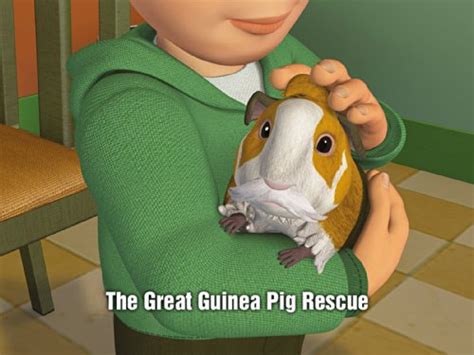the great guinea pig rescue