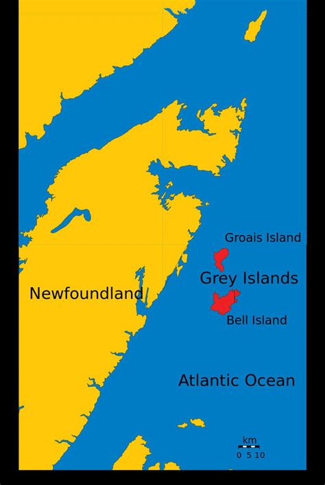 the grey islands