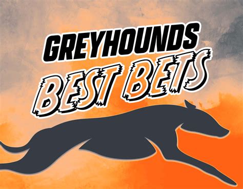 the greyhound recorder online