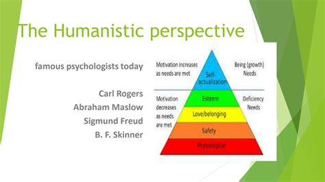 the humanistic perspective emphasizes