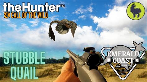 the hunter call of the wild stubble quail