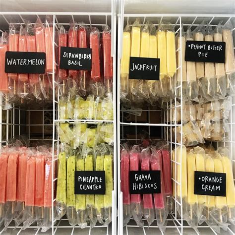 the hyppo gourmet ice pops