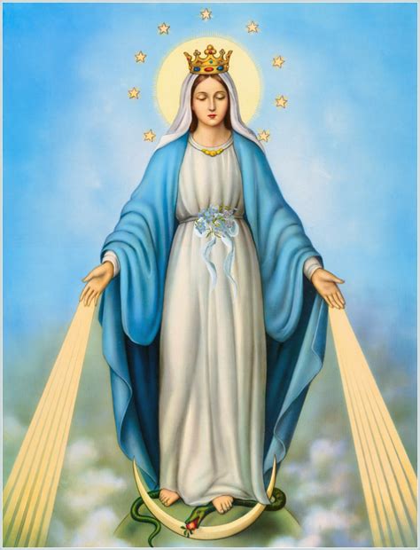 the immaculate conception of the blessed