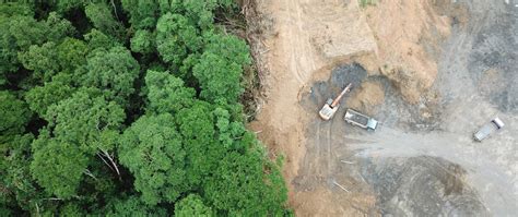 the impacts of deforestation in malaysia