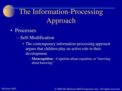 the information processing approach to learning and development