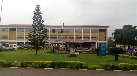 the international school university of ibadan