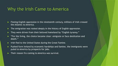 the irish came to america because