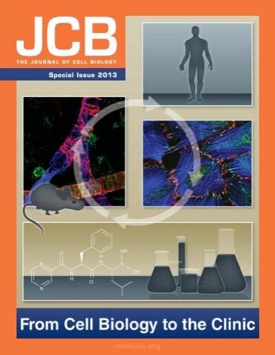 the journal of cell biology