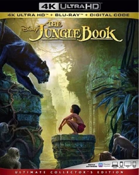 the jungle book 4k uhd movie torrent seeds