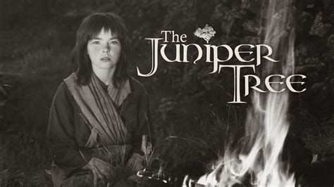 the juniper tree movie torrent