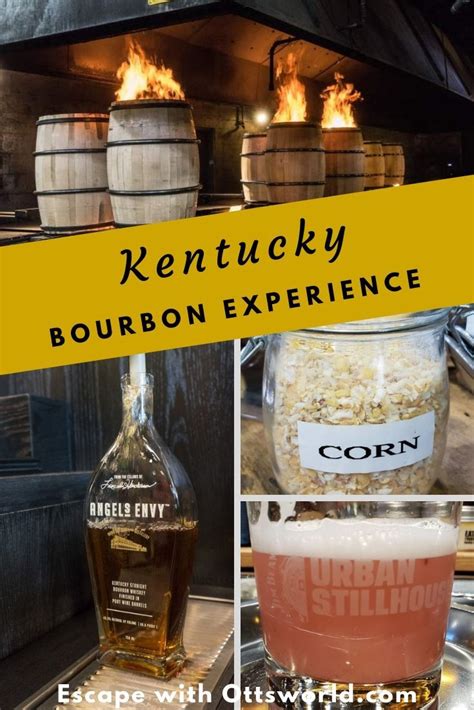 the kentucky bourbon experience
