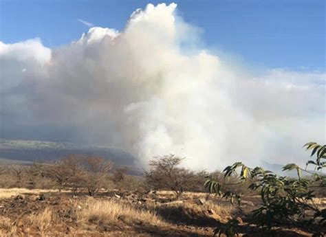 the latest on the maui fires