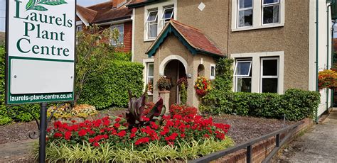 Unlocking the Secrets of The Laurels: A Epic Success Story