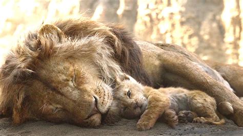 the lion king 2019 mufasa death