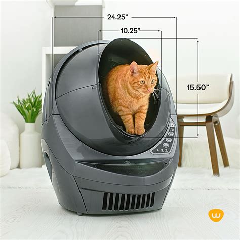 The Litter Robot Amazon