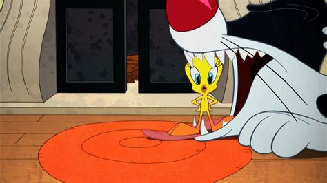 the looney tunes show tweety