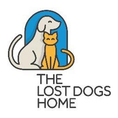 the lost dogs home melbourne