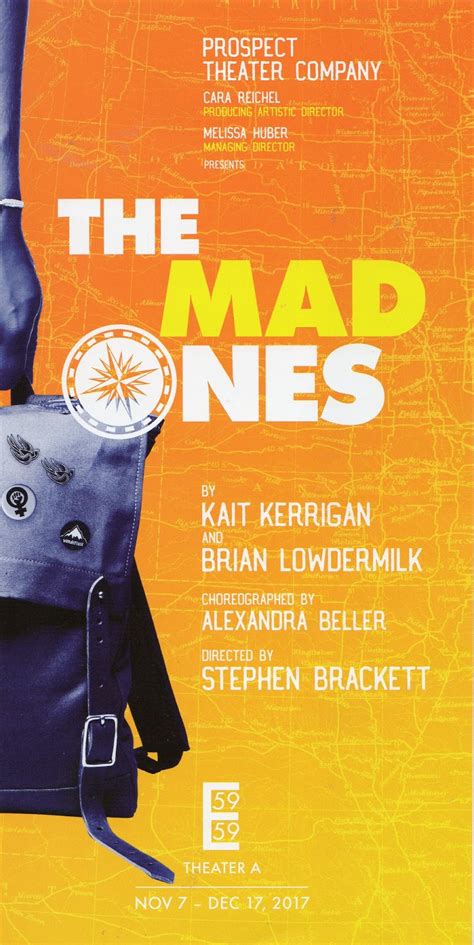 the mad ones book