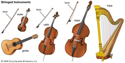 The Main Orchestral String Instruments Are