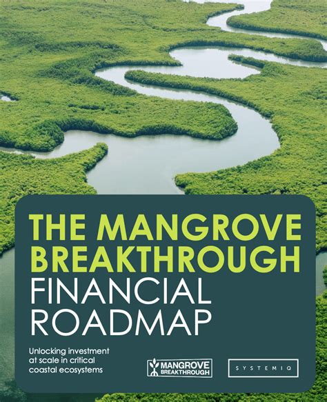 the mangrove breakthrough financial roadmap