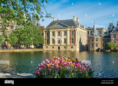 the mauritshuis and the binnenhof in the hag