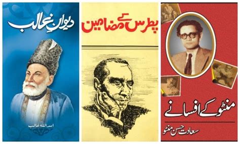 the meaning in urdu literature