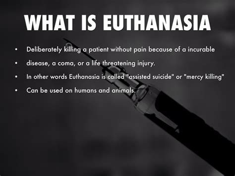 the meaning of euthanasia