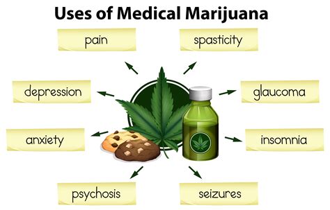 the medical use of marijuana