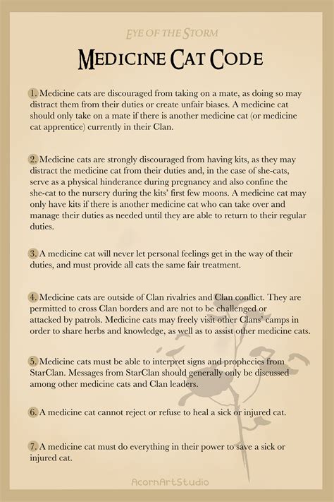 The Medicine Cat Code