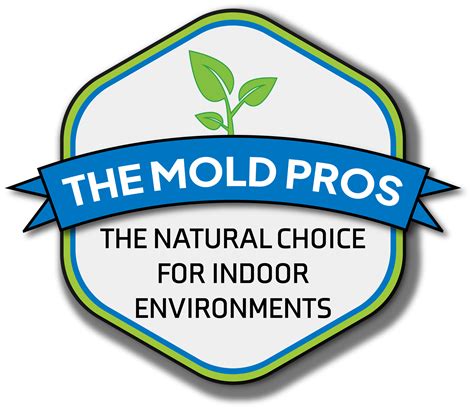 the mold pros reviews