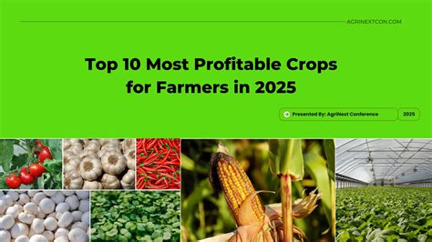 The Most Profitable Crops